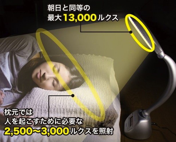 2500〜1万3000ルクスの光を照射