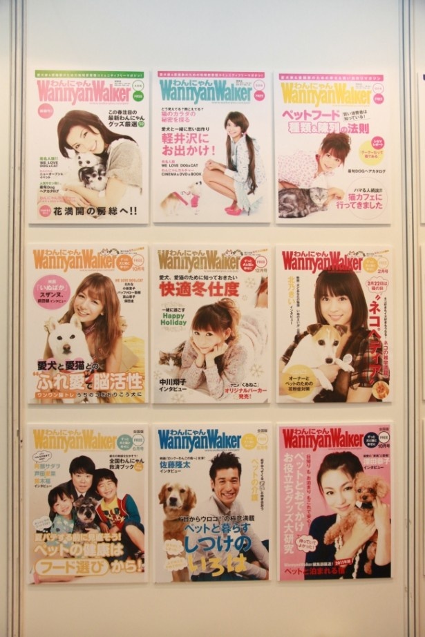 深田恭子さんは自身の愛犬と登場