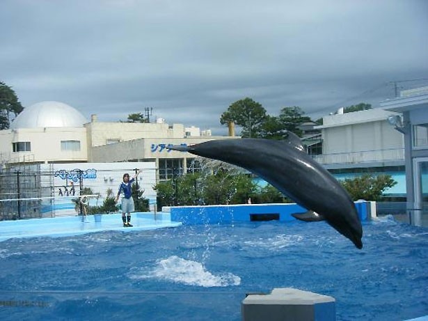 越前松島水族館(福井県・坂井市)