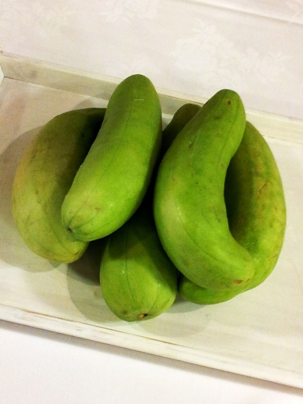 「なにわの伝統野菜」のひとつに選定された、服部越瓜。シャキシャキとした歯ごたえが特徴のしろうり
