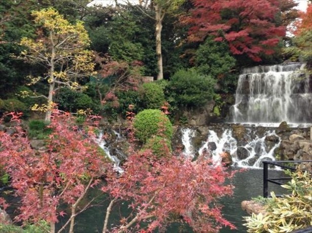 5位の椿山荘 庭園