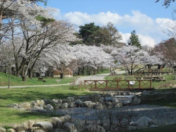 13位の松本市アルプス公園