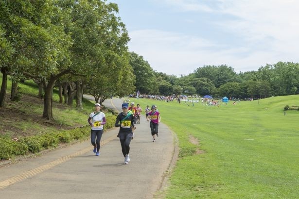 自分のペースで落ち着いて。秋風が気持ち良い