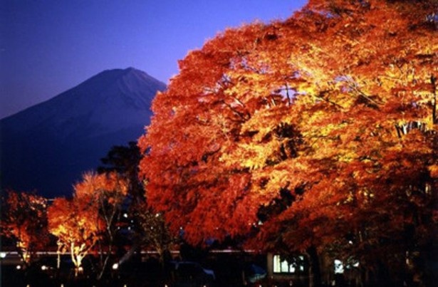 今年注目の世界遺産で秋を満喫！一度は行きたい紅葉スポット