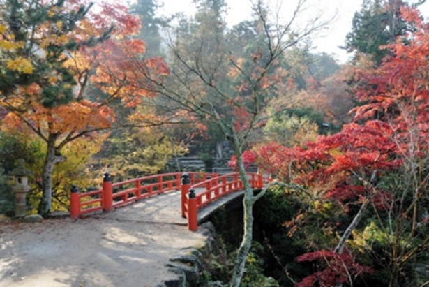 1400年の歴史！宮島・厳島神社(1996年登録)