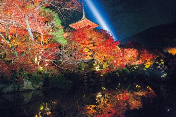 【写真を見る】夜の舞台は華やか！東山・清水寺(1994年登録)