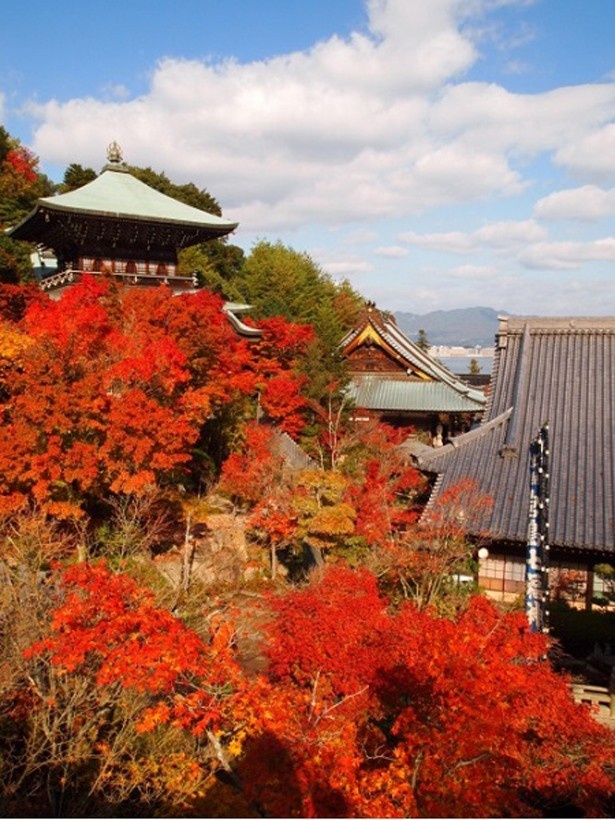 日本三景の1つ、広島県の宮島は世界遺産の厳島神社も必見だ