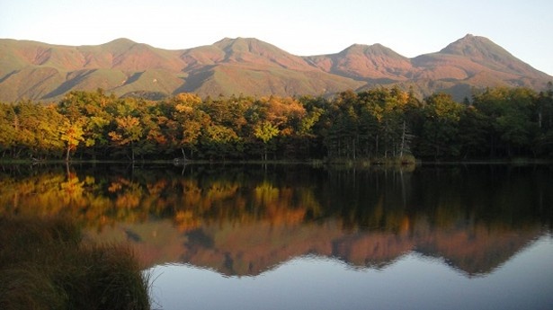 知床五湖(北海道)は例年、10月上旬から中旬に見頃を迎える