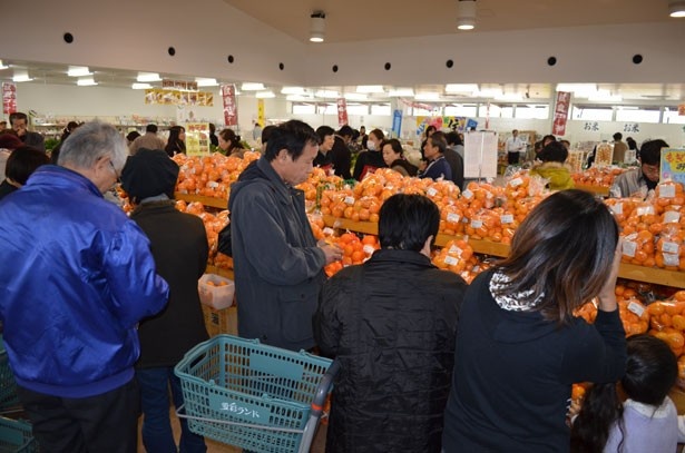 大阪産のみかん。陳列棚や商品ごとに 産地や生産者名が記載されている。写真は「愛彩ランド」（岸和田市）