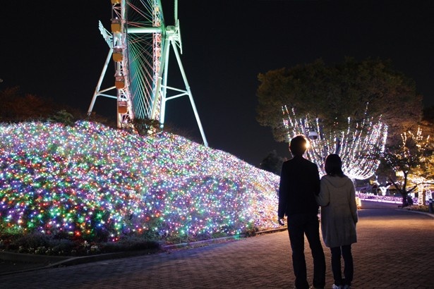 宝石色のLEDが一面に広がり、お花畑のような景観が楽しめる“ジュエリー・フラワーガーデン”