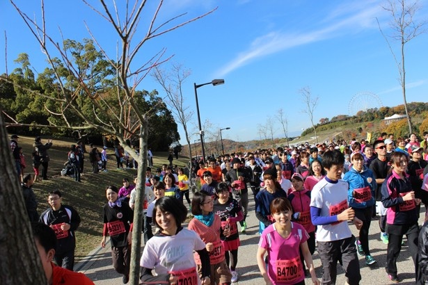 平坦なコースなので、初心者でも安心して楽しめる