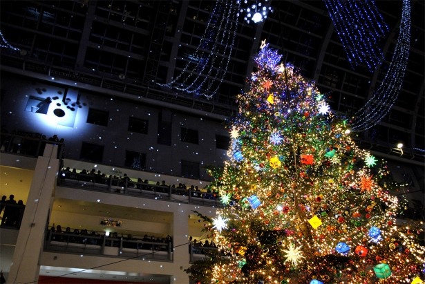 札幌で3万5000個の光が彩るジャンボクリスマスツリーが点灯
