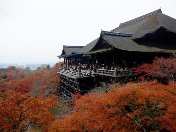 京都府の清水寺