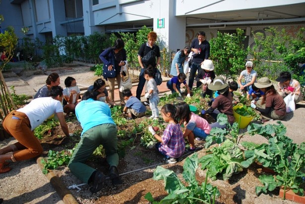 四季を通じて約100種類の野菜栽培を楽しめる