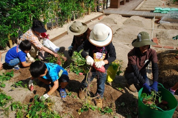 子供たちも身近に農業体験できるチャンス