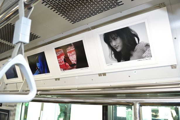 63種類の撮り下ろし写真を展示