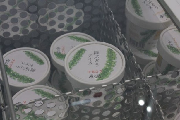 海ぶどうを使ったアイスを発見！