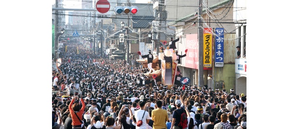 今年はみんなで「だんじりWalker」になりませんか？