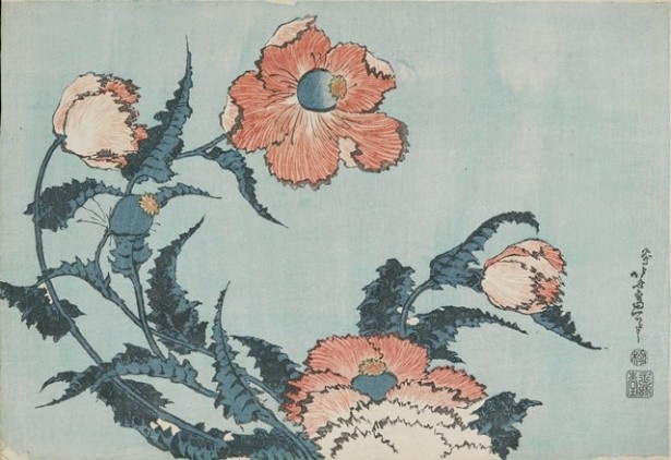 芥子　William Sturgis Bigelow Collection　1833-1834(天保4-5)年頃