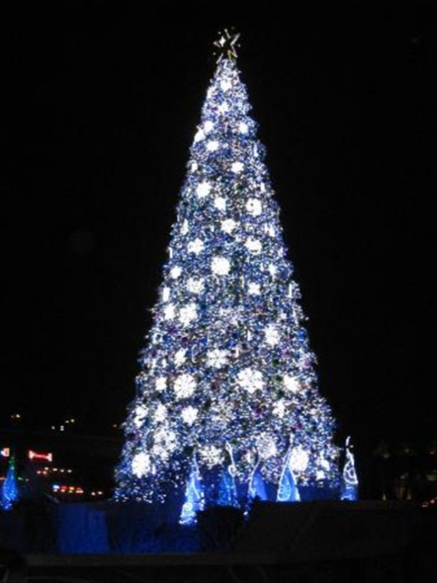 【写真を見る】ギネス認定！ユニバーサルスタジオジャパンのクリスマスツリー