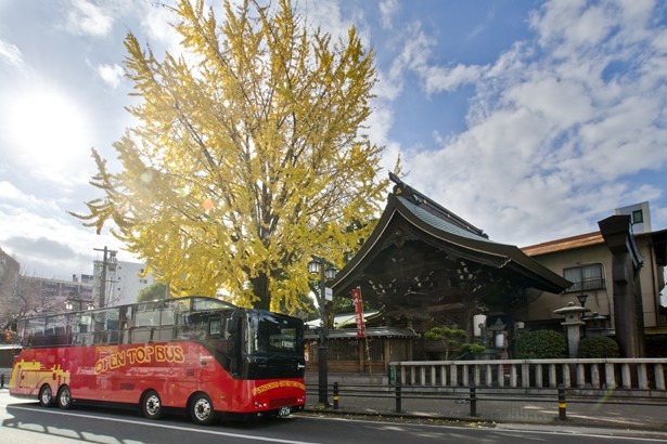 乗るだけで楽しめる、まるでアトラクションのようなバス！