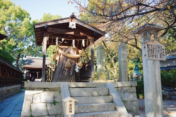競馬ファンも集う京都の人気スポット・藤森神社