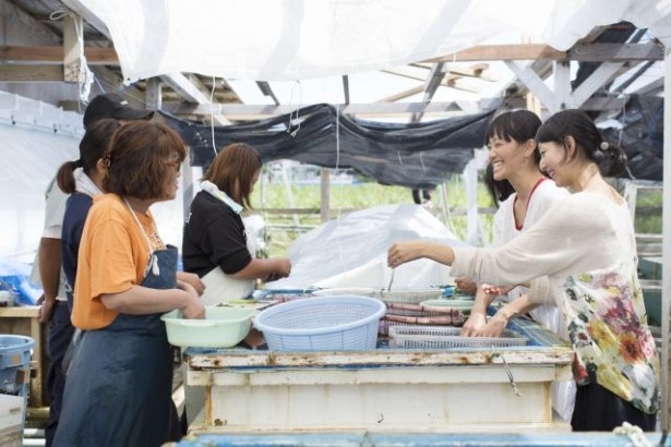 「沖縄島ガール」旅行商品