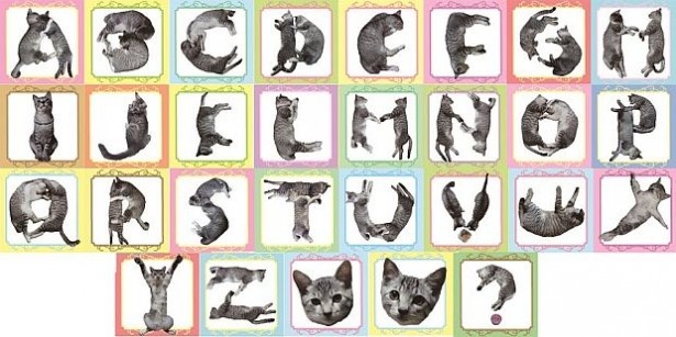 妙なポーズでABCを表現！激カワ“ねこフォント”チョコ