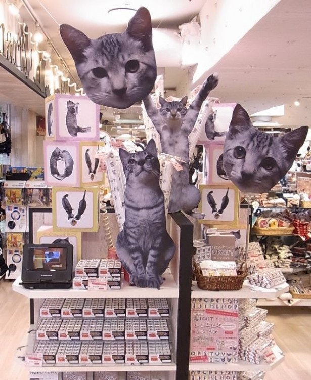 【写真を見る】ねこだらけのネコマート！
