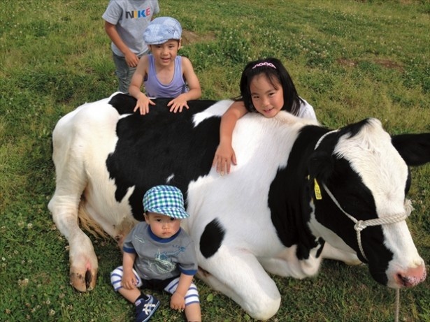 【写真を見る】子牛とも触れ合える！「磯沼ミルクファーム」