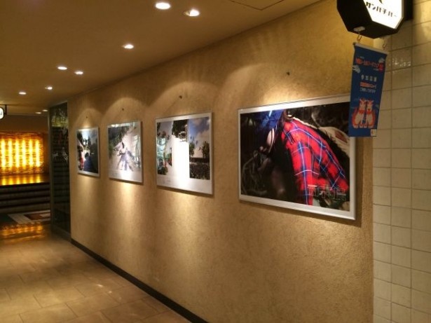 「沖縄島ガール」写真パネル展