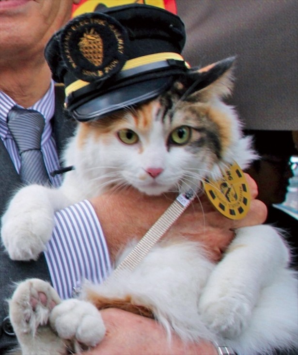 【写真を見る】ニタマスーパー駅長にも会える！