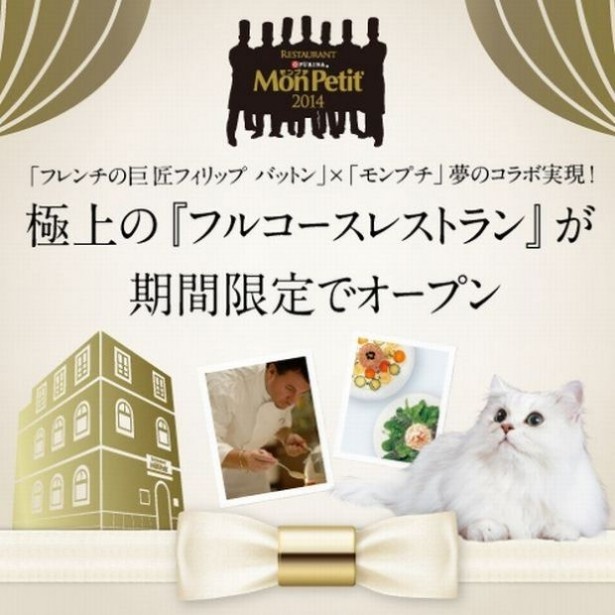フレンチの巨匠とモンプチがコラボした猫好きのためのフルコースレストラン