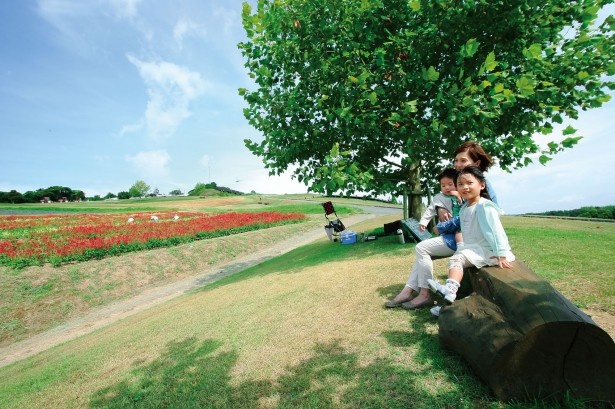 淡路島のあわじ花さじきの「友愛の丘」。園内のいたるところに色とりどりの花が咲く