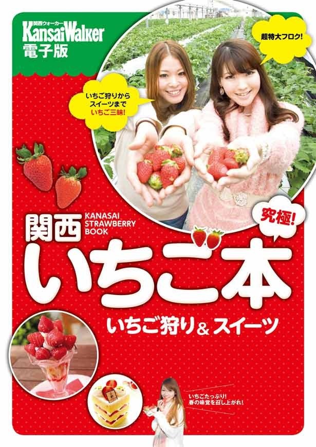 【電子書籍ニュース！】関西ウォーカーの電子版として「関西いちご本」が発売決定！【2/27（木）より随時配信】