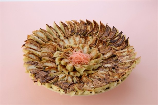 宇都宮と浜松の餃子、満開!!桜まつり餃子(10,000円)