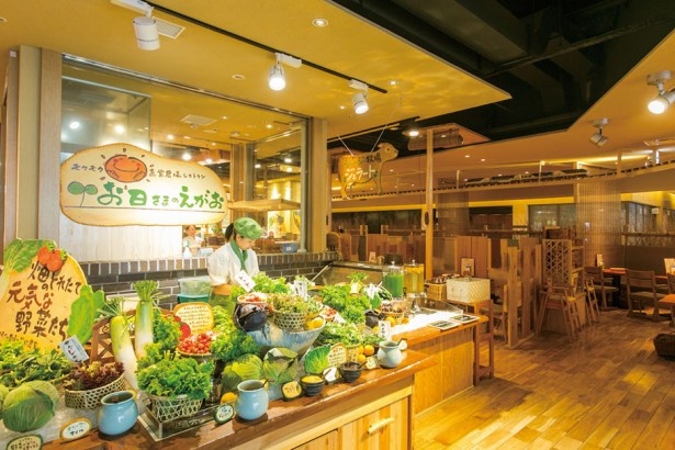 自然食ビュッフェ「モクモク直営農場レストラン」お店のそばには常時12、13種の新鮮な野菜が並ぶ