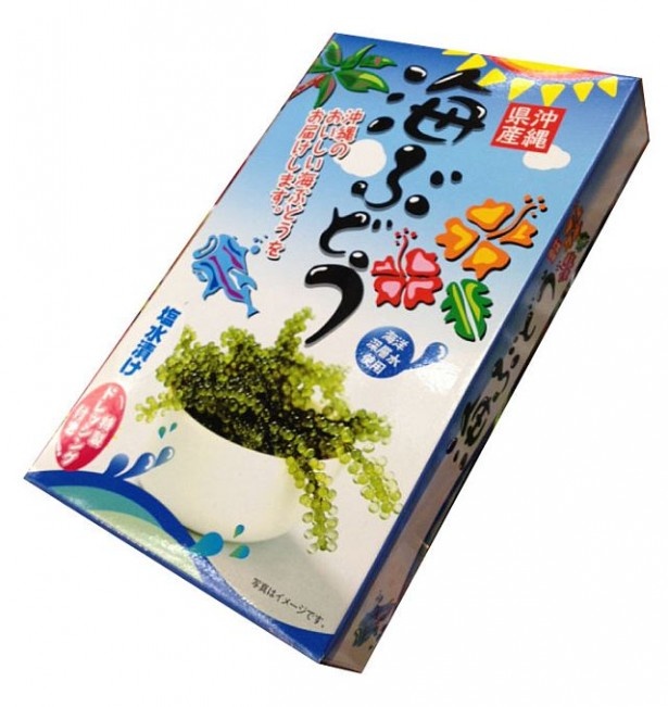 4位「海ぶどう塩水漬60g」