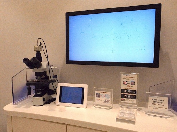 添加物の肌に対する影響など実験結果がわかりやすく展示されている