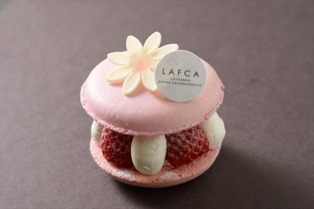 【写真を見る】淡いピンクがカワイイ！「LAFCA」の「プラロン」
