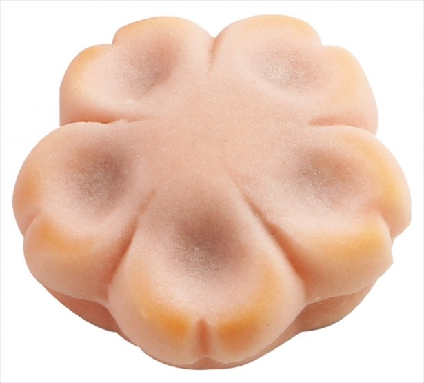 桜風味のあんが春らしい！大丸京都店の注目和菓子
