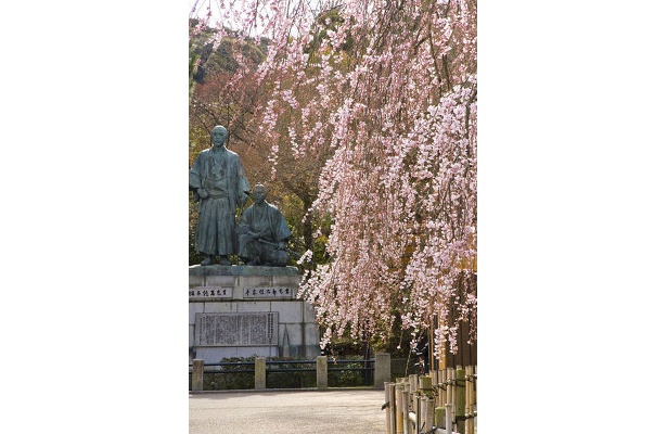 「園内奥には、「坂本竜馬像と中岡慎太郎像があり、風情のあるシダレ桜が咲いています」（サダマツ談）
