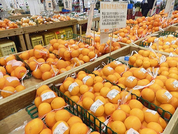 種類豊富な果物