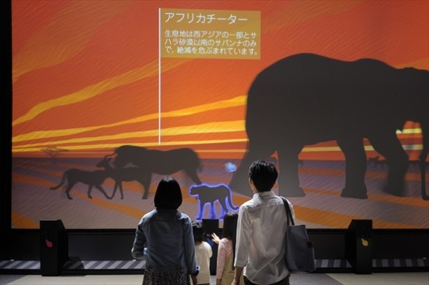 CGの動物たちとコミュニケーションできるアニマルペディア