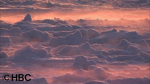夕陽を浴びる流氷。幻想的な光景だ