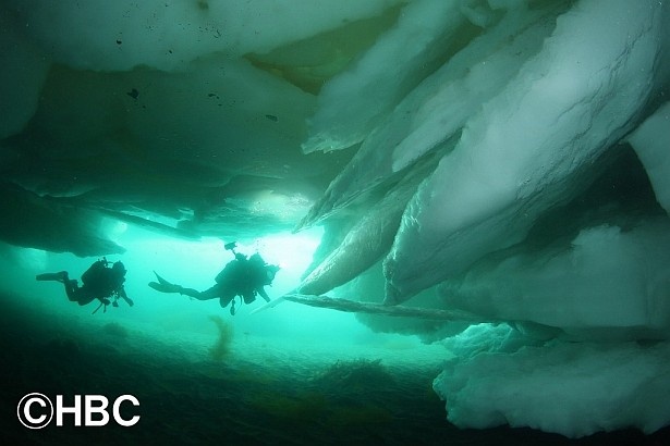 氷の下を行くダイバーたち。地元の彼らは羅臼の海を季節の海と呼ぶ