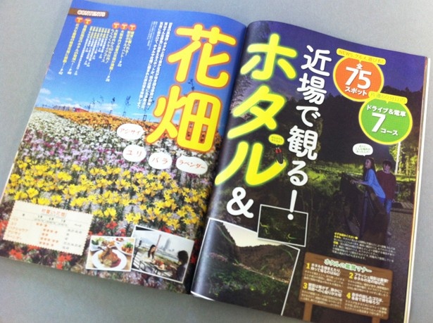街なかのイベントをはじめ大阪市内から片道60分以内など、近場で観られるホタル＆花畑をたっぷりとお届け