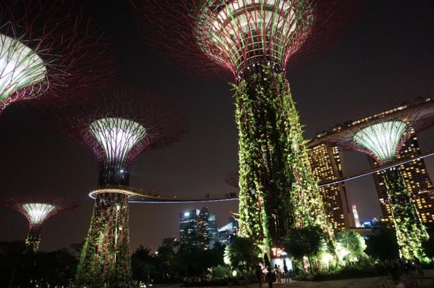 アジアの公園カテゴリ1位「シンガポール(シンガポール)のシンガポール植物園」