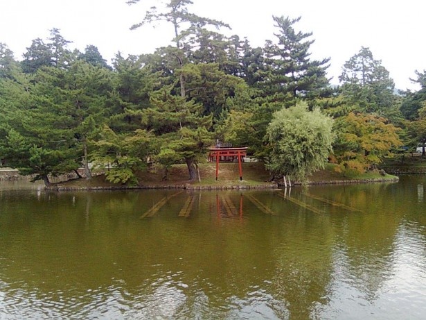 アジアの公園カテゴリ「奈良県(日本)の奈良公園」