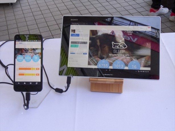 【写真を見る】ペットフィットはドコモ以外のスマートフォンやタブレット、パソコンでも利用可能